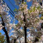 ヒメ日記 2025/04/12 17:53 投稿 りの 横浜コスプレデビュー（シンデレラグループ）