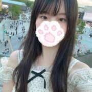 ヒメ日記 2025/07/20 14:39 投稿 りの 横浜コスプレデビュー（シンデレラグループ）