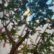 ヒメ日記 2025/08/01 13:40 投稿 りの 横浜コスプレデビュー（シンデレラグループ）