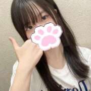 ヒメ日記 2025/09/28 15:48 投稿 りの 横浜コスプレデビュー（シンデレラグループ）