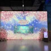 ヒメ日記 2026/04/15 13:59 投稿 りの 横浜コスプレデビュー（シンデレラグループ）