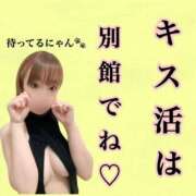 ヒメ日記 2024/12/13 09:21 投稿 つばめ チューリップ福井本館