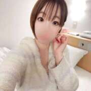 ヒメ日記 2025/06/15 15:20 投稿 つばめ チューリップ福井本館