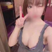 ヒメ日記 2025/12/07 18:49 投稿 つばめ チューリップ福井本館