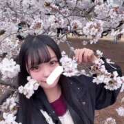 ヒメ日記 2025/04/11 00:09 投稿 小川みな 池袋パラダイス