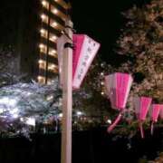 ヒメ日記 2026/04/10 22:19 投稿 小川みな 池袋パラダイス