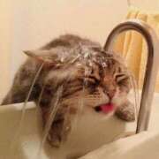 ヒメ日記 2024/12/19 13:49 投稿 桐島 品川やすらぎ