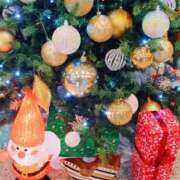 ヒメ日記 2025/11/26 14:29 投稿 藤原 品川やすらぎ