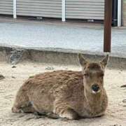 ヒメ日記 2024/12/24 14:07 投稿 高倉 品川やすらぎ
