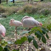 ヒメ日記 2025/01/06 14:42 投稿 高倉 品川やすらぎ