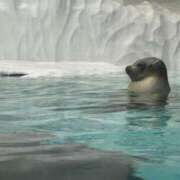 ヒメ日記 2025/02/13 01:18 投稿 高倉 品川やすらぎ