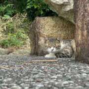 ヒメ日記 2025/03/20 18:17 投稿 高倉 品川やすらぎ