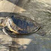 ヒメ日記 2025/04/30 20:05 投稿 高倉 品川やすらぎ