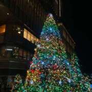 ヒメ日記 2025/12/04 20:38 投稿 高倉 品川やすらぎ