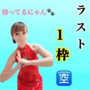 ヒメ日記 2024/12/13 20:54 投稿 つばめ チューリップ福井別館