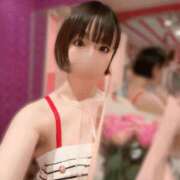 ヒメ日記 2025/02/07 15:09 投稿 つばめ チューリップ福井別館