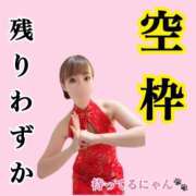 ヒメ日記 2025/02/07 18:14 投稿 つばめ チューリップ福井別館