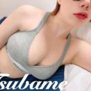 ヒメ日記 2025/04/12 12:27 投稿 つばめ チューリップ福井別館