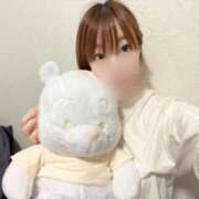 ヒメ日記 2025/06/15 15:14 投稿 つばめ チューリップ福井別館