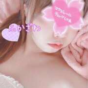 ヒメ日記 2025/05/18 13:11 投稿 深澤 品川やすらぎ