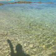 ヒメ日記 2025/08/18 16:03 投稿 深澤 品川やすらぎ