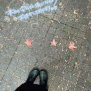 ヒメ日記 2025/11/16 13:52 投稿 深澤 品川やすらぎ