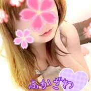 ヒメ日記 2025/11/18 17:54 投稿 深澤 品川やすらぎ