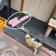 深澤 尊い🤦‍♀️💗 品川やすらぎ