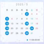 ヒメ日記 2025/04/30 20:08 投稿 せつな ビギナーズ和歌山
