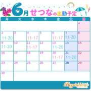 ヒメ日記 2025/05/23 10:11 投稿 せつな ビギナーズ和歌山