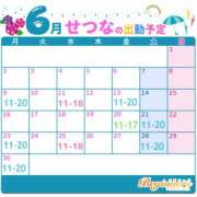 ヒメ日記 2025/06/06 22:11 投稿 せつな ビギナーズ和歌山