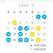 ヒメ日記 2026/04/22 08:21 投稿 せつな ビギナーズ和歌山