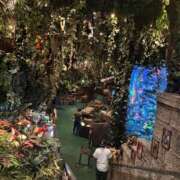 ヒメ日記 2024/12/23 13:15 投稿 りの 横浜ハートショコラ（シンデレラグループ）