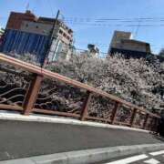 ヒメ日記 2025/04/06 10:16 投稿 りの 横浜ハートショコラ（シンデレラグループ）