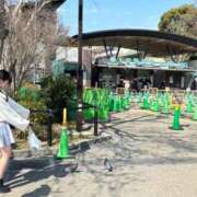 ヒメ日記 2025/04/15 19:18 投稿 りの 横浜ハートショコラ（シンデレラグループ）