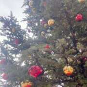 ヒメ日記 2024/12/24 21:30 投稿 かおり 人妻花かんざし