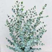 ヒメ日記 2025/01/20 10:20 投稿 かおり 人妻花かんざし