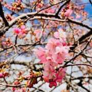 ヒメ日記 2025/02/24 19:19 投稿 かおり 人妻花かんざし