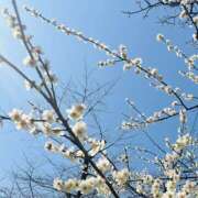 ヒメ日記 2025/02/28 18:36 投稿 かおり 人妻花かんざし