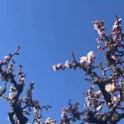 ヒメ日記 2025/03/01 08:52 投稿 かおり 人妻花かんざし