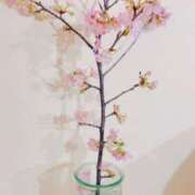 ヒメ日記 2025/03/03 20:27 投稿 かおり 人妻花かんざし