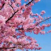 ヒメ日記 2025/03/10 17:54 投稿 かおり 人妻花かんざし