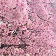 ヒメ日記 2025/03/21 09:13 投稿 かおり 人妻花かんざし