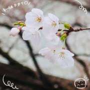 ヒメ日記 2025/03/27 08:50 投稿 かおり 人妻花かんざし