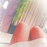 ヒメ日記 2025/03/29 08:47 投稿 かおり 人妻花かんざし