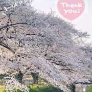 ヒメ日記 2025/03/31 18:07 投稿 かおり 人妻花かんざし