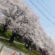 ヒメ日記 2025/04/09 19:34 投稿 かおり 人妻花かんざし