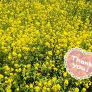 ヒメ日記 2025/04/30 20:53 投稿 かおり 人妻花かんざし