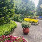 ヒメ日記 2025/05/11 08:51 投稿 かおり 人妻花かんざし