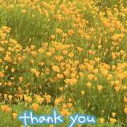 ヒメ日記 2025/05/31 23:28 投稿 かおり 人妻花かんざし